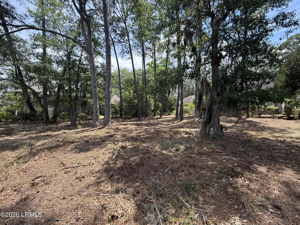 Picture 21