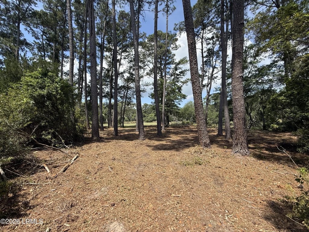 Picture 15