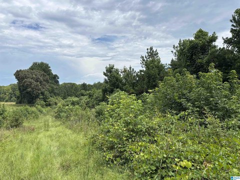 LAND - WADLEY, AL