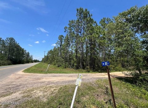 Altha, FL Land Parcel