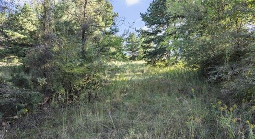 Picture 14