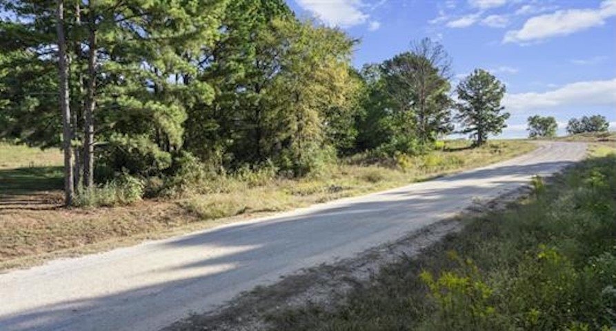 Picture 4