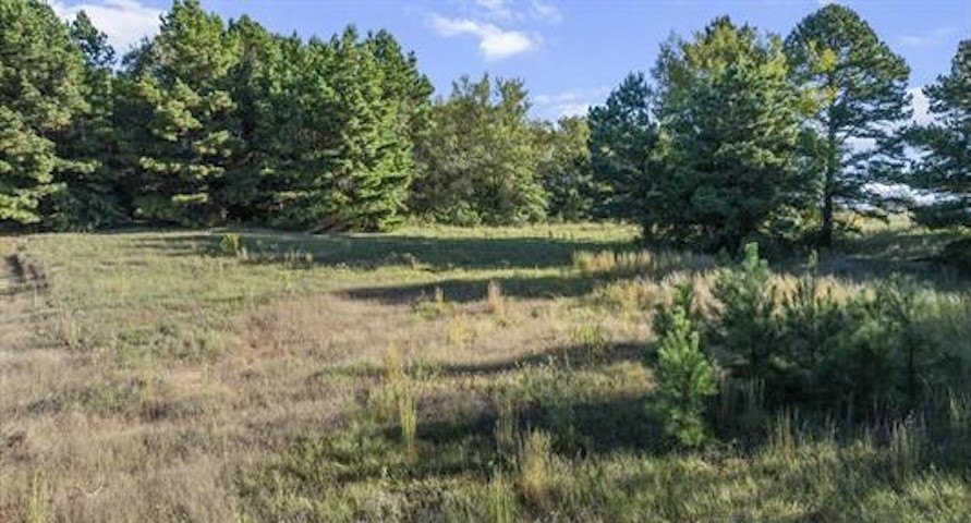 Picture 7