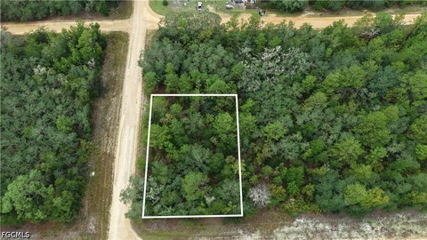 Land, Interlachen, FL