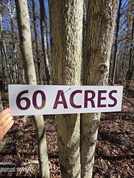 60 Acres Bordering State Park