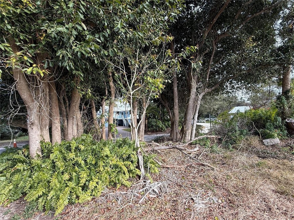 Picture 11