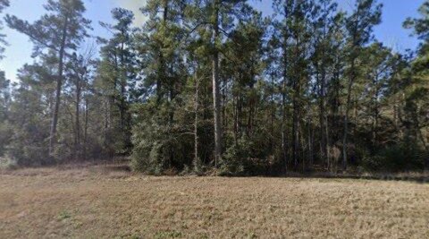 Land, New Waverly, TX