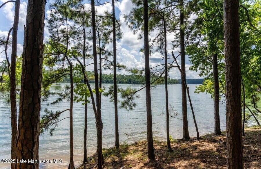 Waterfront Land in The Ridge