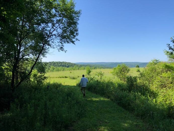 Scenic Land with Hardwood Forest