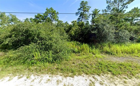Land, WEEKI WACHEE, FL
