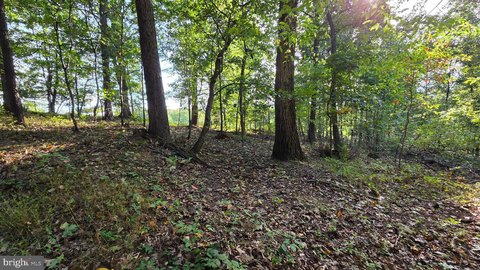 Land, NEW WINDSOR, MD