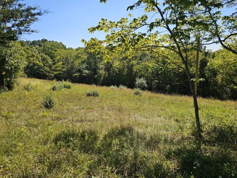 DeMossville Acreage: Build Your Dream