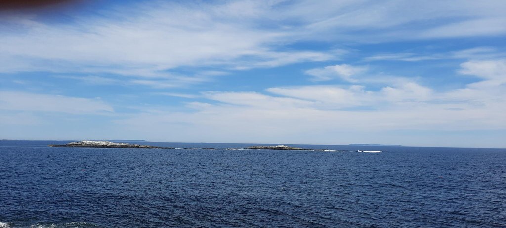 Picture 48