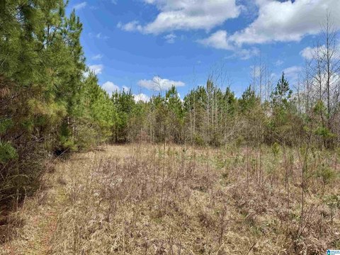 Recreation Timber Land Tract