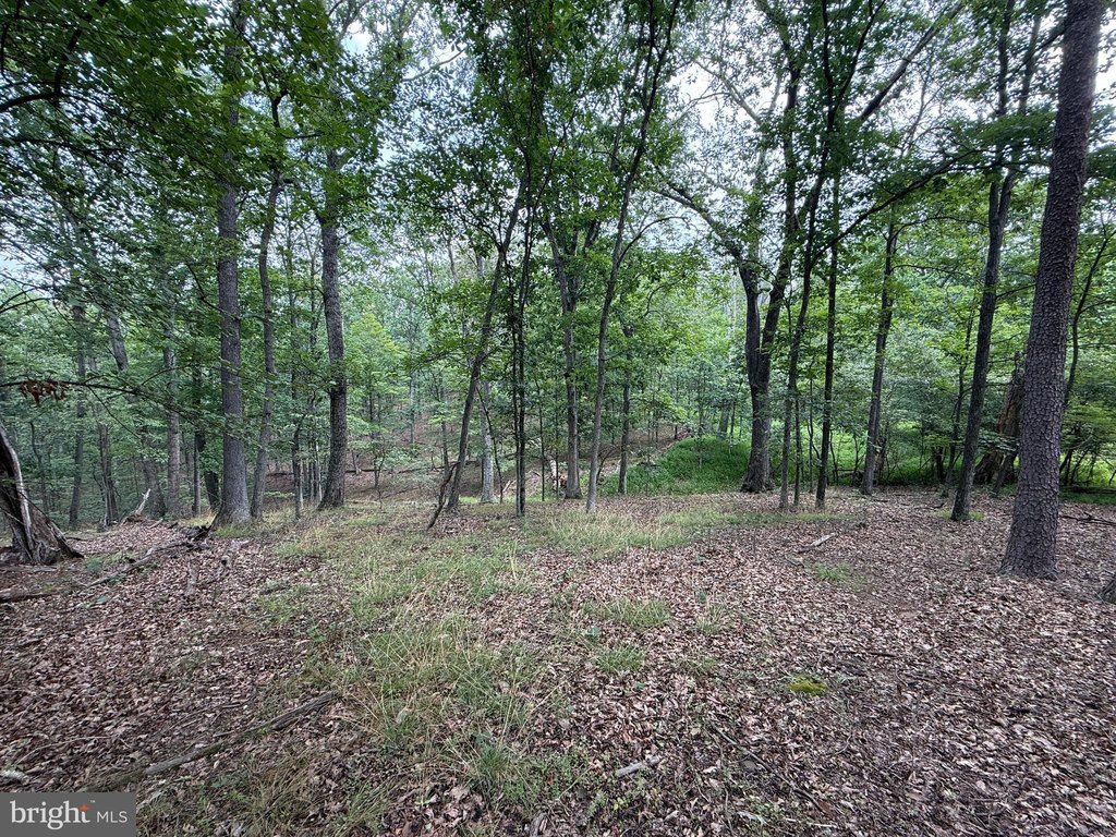 Picture 8