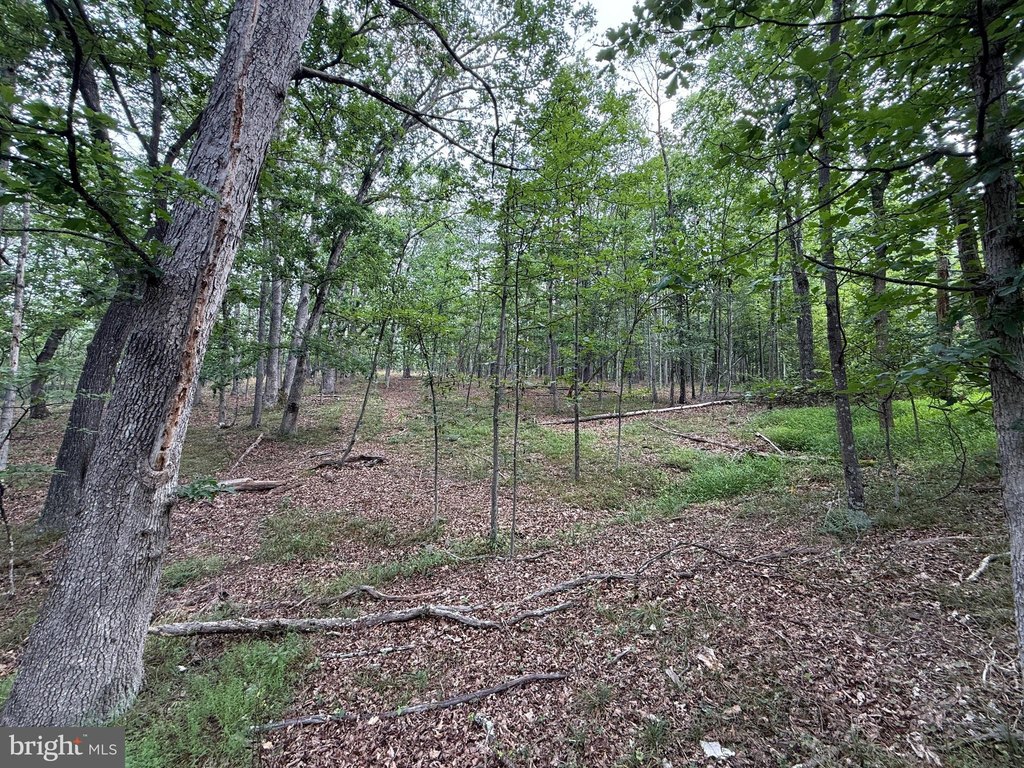 Picture 15