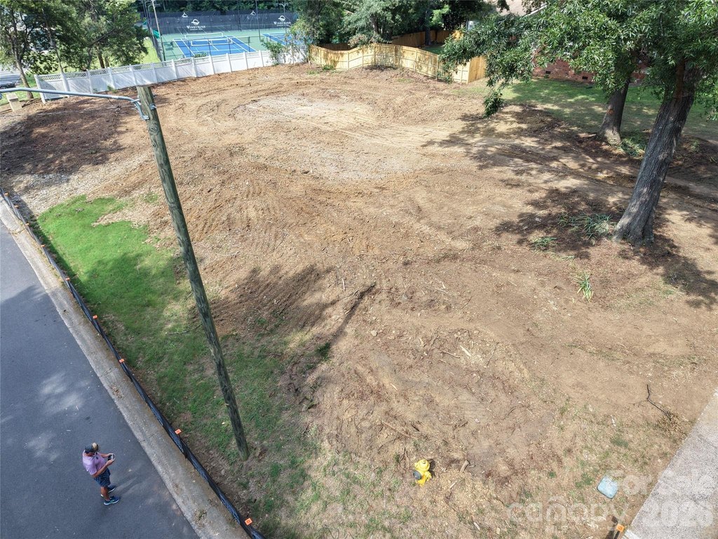 Picture 5