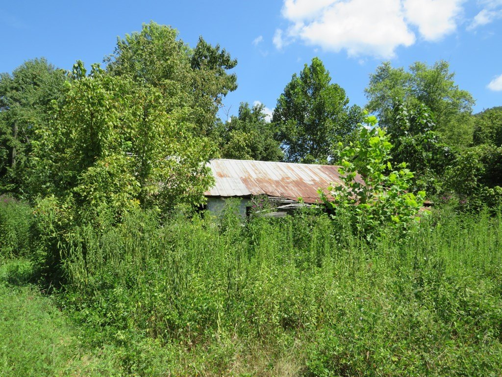Picture 3