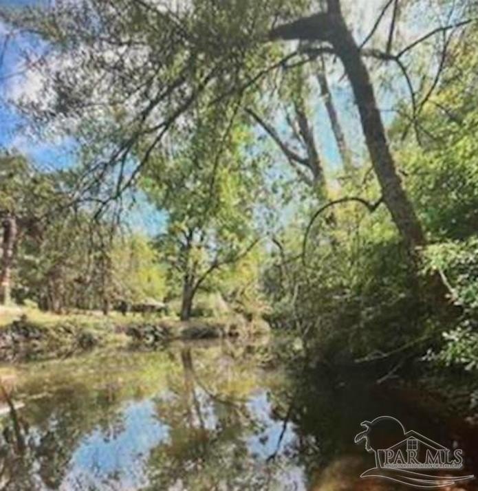 Waterfront Land on Polecat Creek