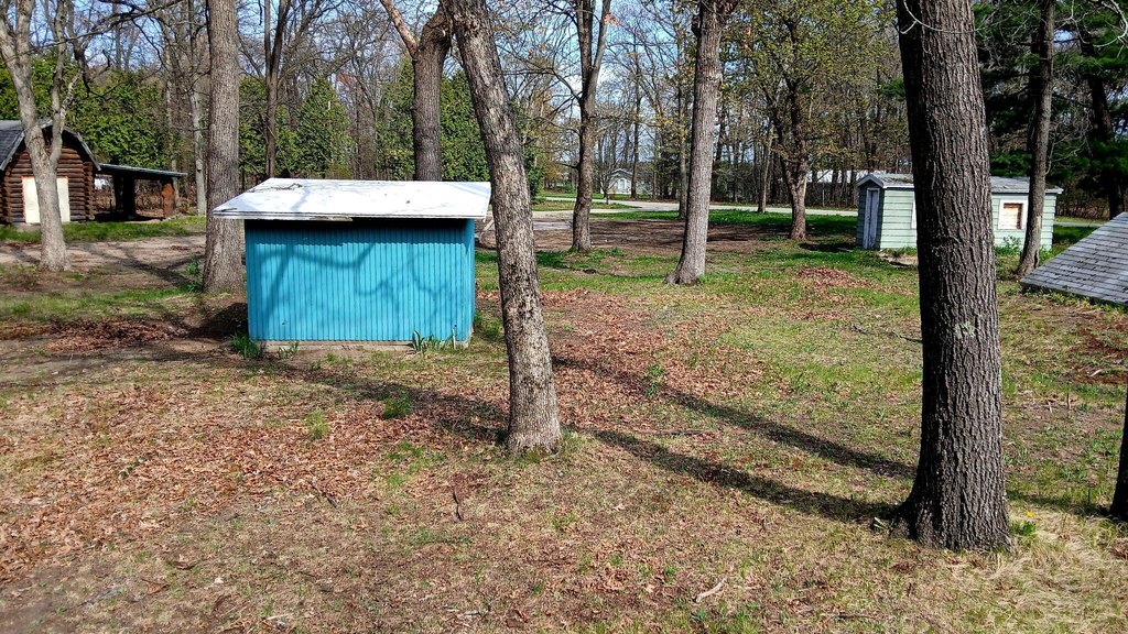 Picture 5