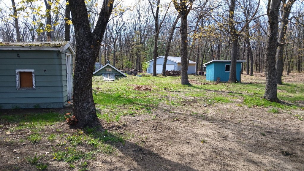 Picture 17