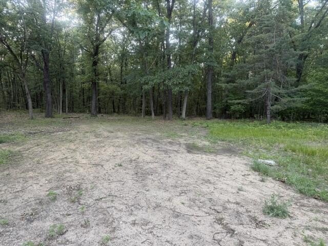 Picture 6