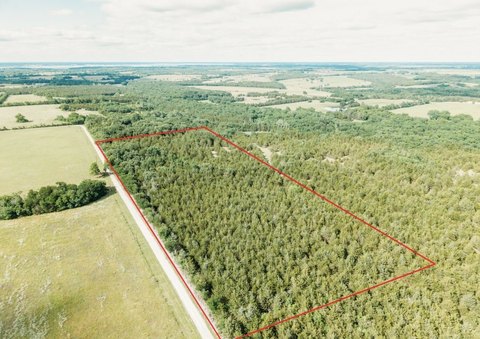 Heavily Wooded Land Near Lake