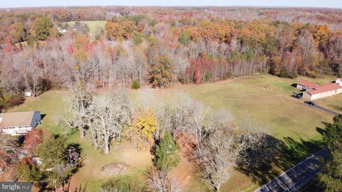 Expansive Wooded Land with Potential