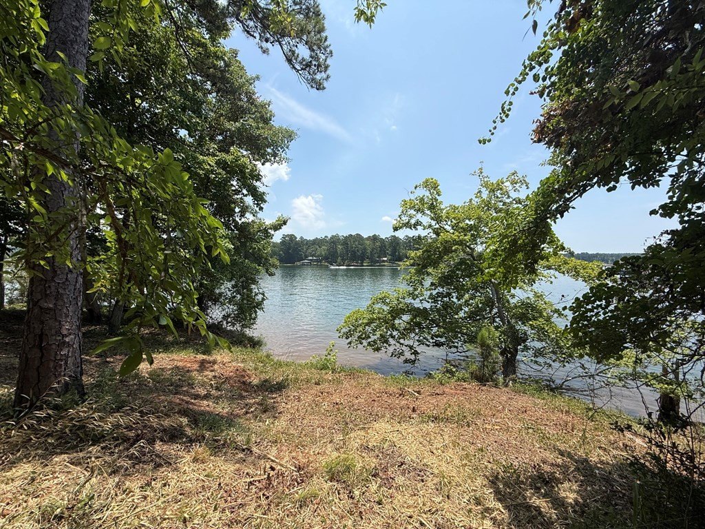 Picture 23