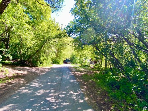 Wooded Lot Near Hobble Creek