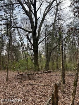 Land Parcel in Athens, TN