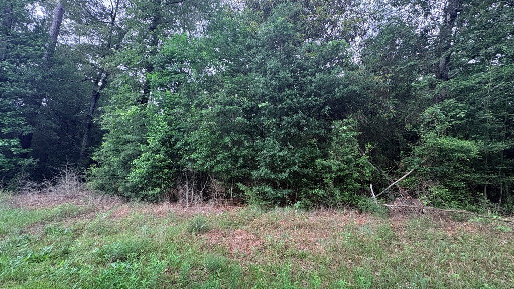 Picture 4