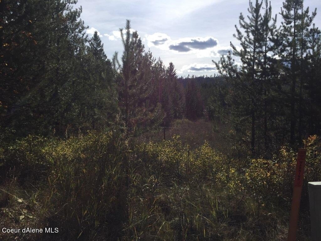 Treed Land in Blanchard, ID