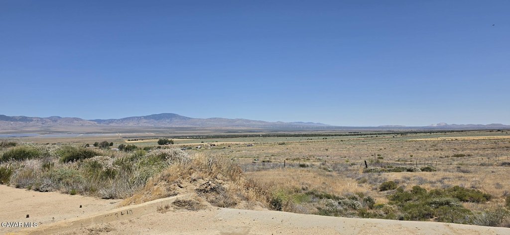 Picture 6