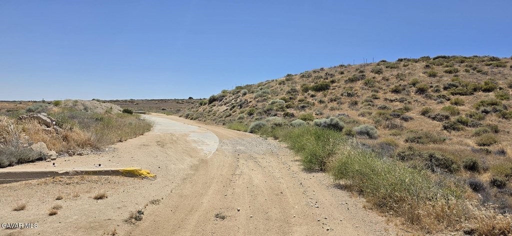 Picture 5