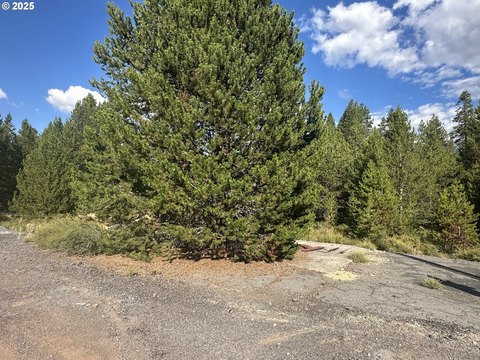 Commercial Land in Crescent, Oregon