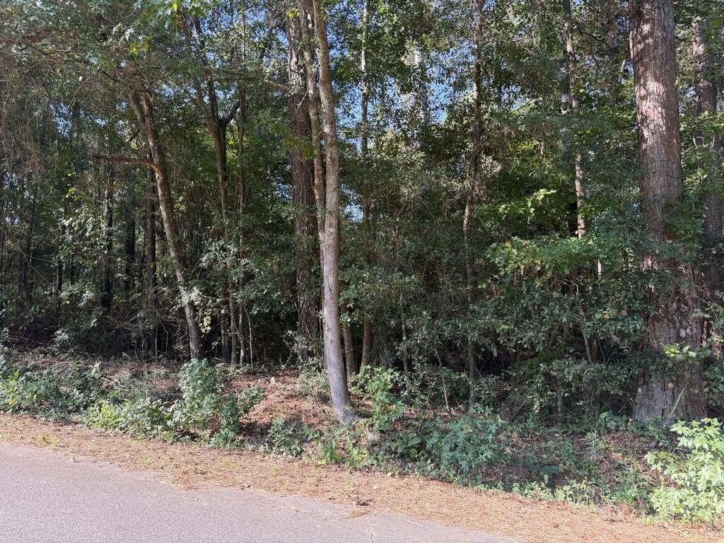 Picture 5