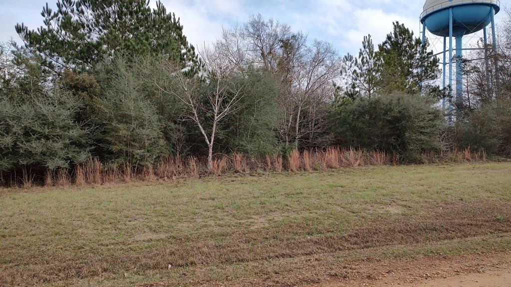 Picture 5
