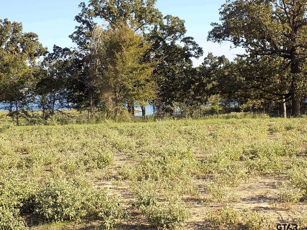 Picture 12