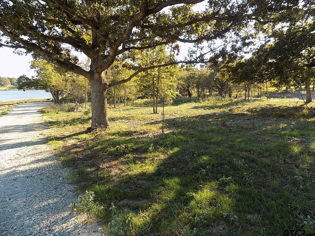 Picture 24