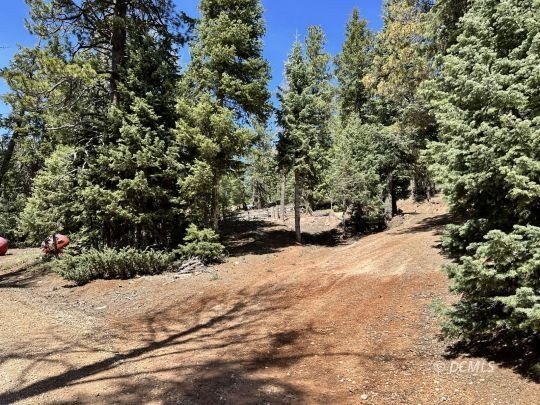 Mountain Land Ready for Adventures