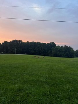 LAND - MCKENZIE, TN