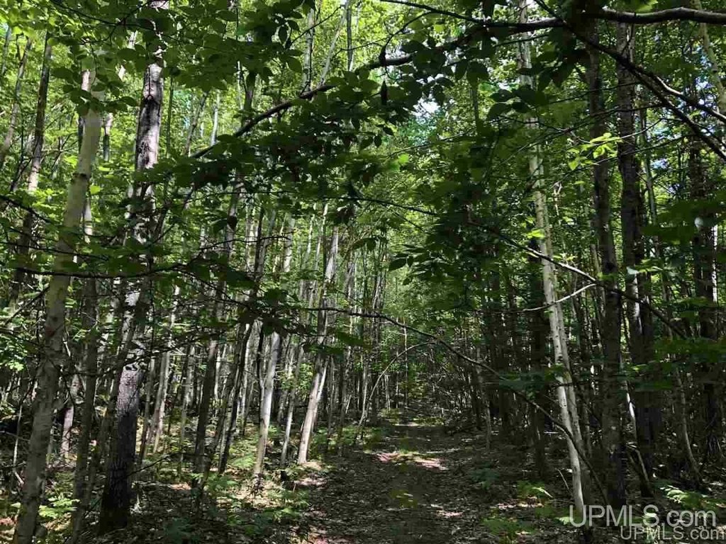 Picture 6