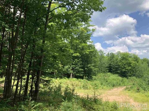 Gwinn Land Development Opportunity