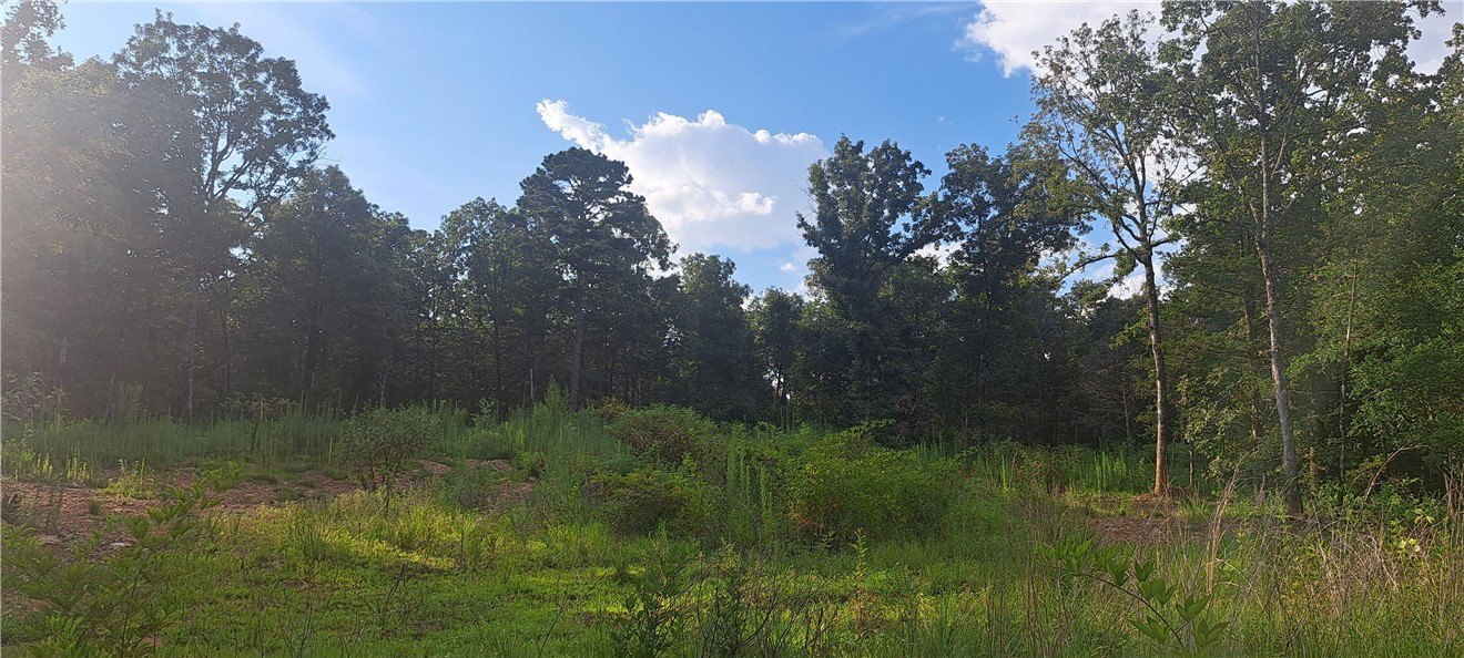 Secluded Wooded Land in Cecil, AR