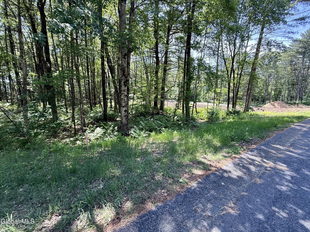 Picture 2