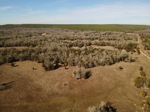 Recreational Hunting Land Tract