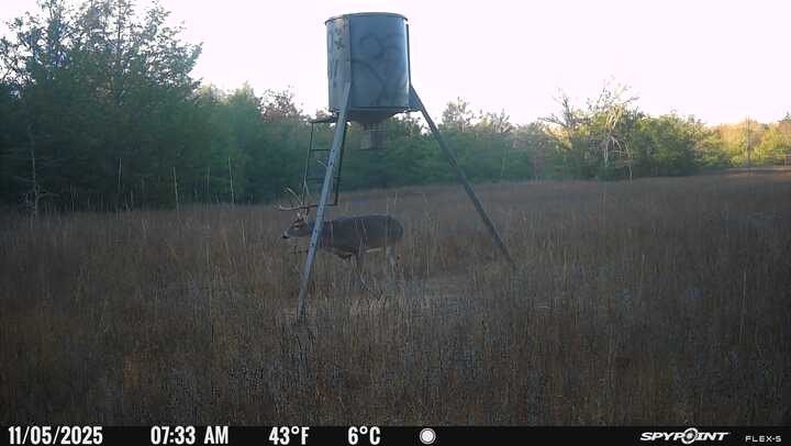 Picture 4
