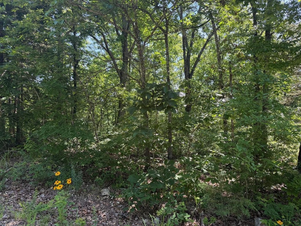 Picture 5