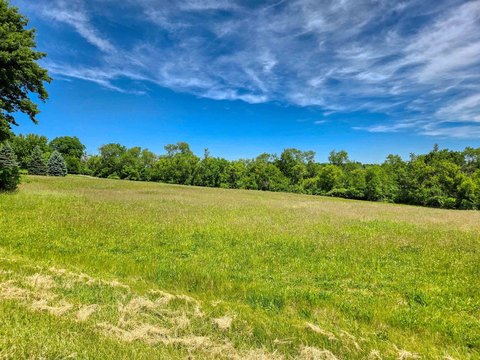 Spacious Lake Carroll Homesite
